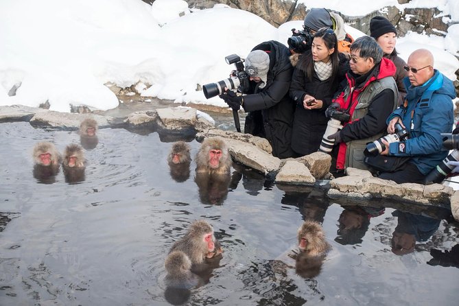 Fantastic Japan skiing and tour trip